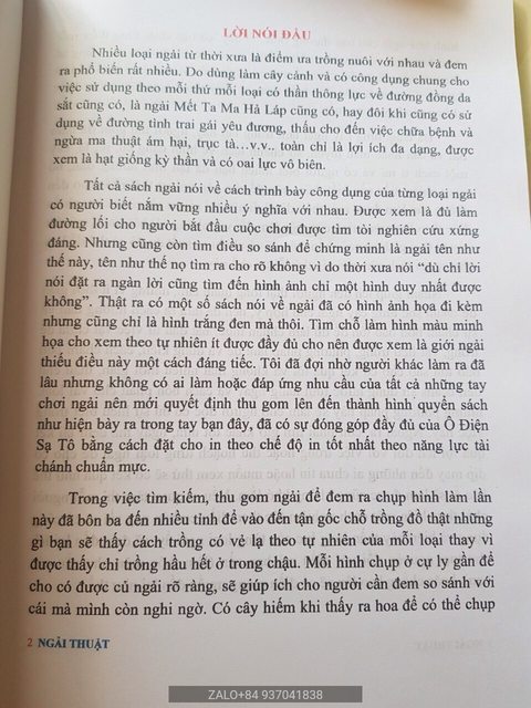 Ngãi thái lan